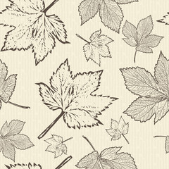 Hop leaves on a light background. Seamless pattern. Botanical illustrations. Brewing. Eps 10 vector