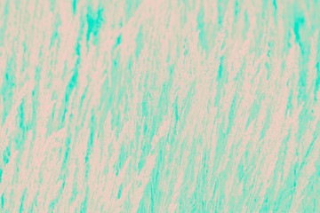 Peach color grass pattern on a ultra green background