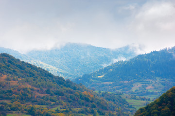 Naklejka premium beautiful countryside on a rainy day in mountains. forested hills in fall foliage. overcast sky above the ridge. haze and mist in the valley. rural area of carpathians, uzhok, ukraine