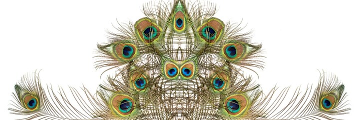 Obraz premium Beautiful exotic peacock feathers on white background
