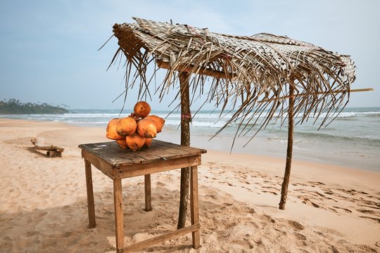 Coconuts for sale