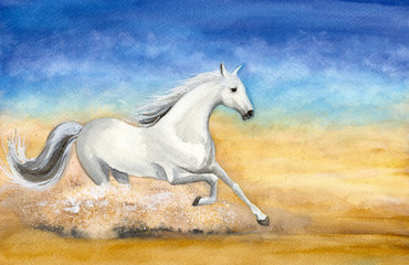 Plakat Watercolor picture of a white horse running in desert with clouds of sand
