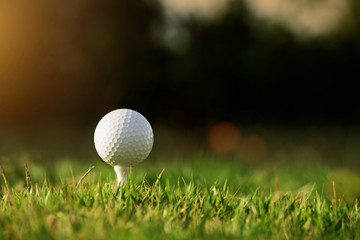 golf ball on tee in a beautiful golf course with morning sunshine