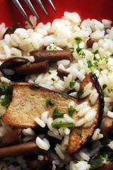 Risotto ai funghi ft7110_0733