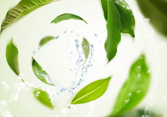 Vividly flying in the air green tea leaves isolated on white background 3d illustration. Food levitation concept