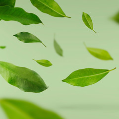 Vividly flying in the air green tea leaves isolated on white background 3d illustration.