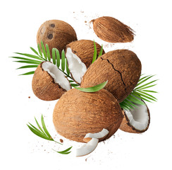 Flying in air fresh ripe whole and cracked coconut with palm leave
