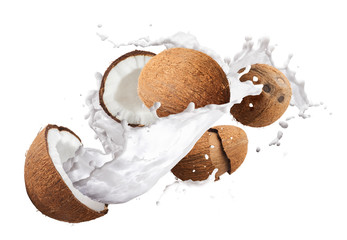 Flying in air fresh ripe whole and cracked coconut with palm leave