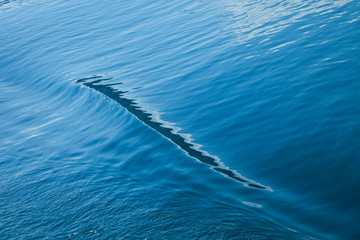 Texturas de mar.