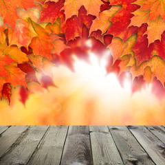 Naklejka na ściany i meble Colorful fall background. Autumn maple leaves and abstract sun l