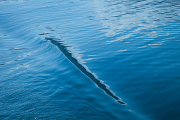 Texturas de mar.