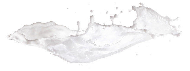 Fresh white milk splashes isolated