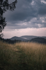 Weg auf Hügel mit Wiese und Gras mit Landschaft und Wald im Hintergrund