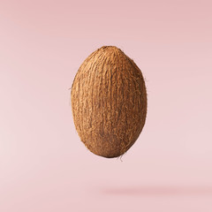 Fresh ripe coconut isolated on pink background