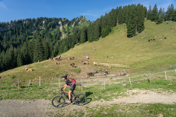 nice, active senior woman underway with her electric mountain bike in the Allgaeu Alps near Oberstdorf, Bavarian Alps, Germany