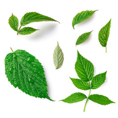 Set with different raspberries isolated on white bacgkround