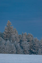 winter landscape in South Bohemia, Czech Republic
