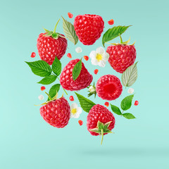 Fresh ripe raspberries, green leaves and flowers flying in the air