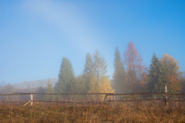 countryside in mountains in the morning. grassy rural slopes with fields and trees in fall foliage. beautiful autumn scenery with fog in the valley.