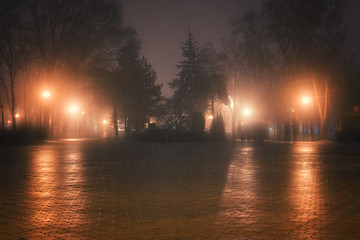Foggy and rainy night in a city park