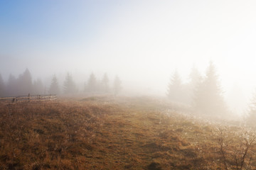 countryside in mountains in the morning. grassy rural slopes with fields and trees in fall foliage. beautiful autumn scenery with fog in the valley.