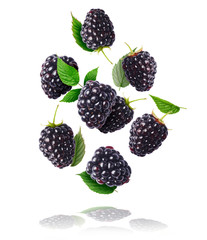 Fresh ripe raspberries, green leaves and flowers flying in the air isolated on white background.