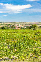 Hnanice and vineyards, Znojmo region, Czech Republic