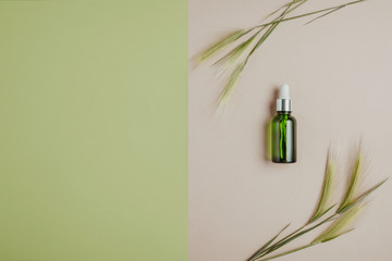 Natural cosmetics, serum for hair and skin care. The concept of organic, natural cosmetics. Flat lay, minimalism, pastel