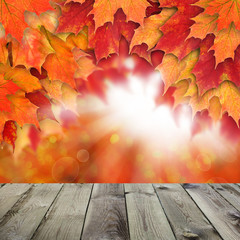 Naklejka na ściany i meble Fall background with red autumn maple leaves and abstract sun li