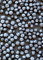 Ripe organic blueberries on a black surface, top view. Summer berry. Flat lay, overhead, from above.