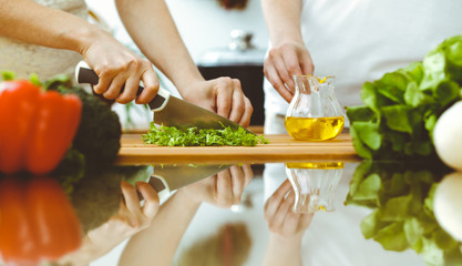 Closeup of human hands cooking in kitchen. Mother and daughter or two female friends cutting vegetables for fresh salad. Friendship, family dinner and lifestyle concepts