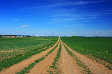 Fototapeta na wymiar Soil country empty road in a green field