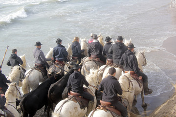 abrivade dans la mer
