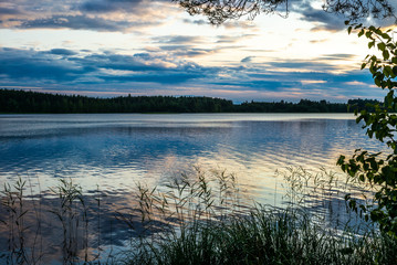 Sunset on the shores of the calm Saimaa lake in the Kolovesi National Park in Finland - 4