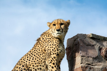road trip namibia game farm and namib desert