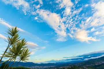 Fototapeta na wymiar City sky shot with a wide angle lens showing the great sky covering the town below during late afternoon. A palm tree serves as foreground element.