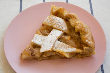 Slice of home-baked apple pie on a pink plate, low angle view. Closeup.