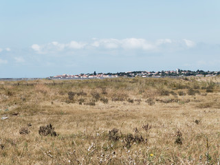 La réserve naturelle nationale du marais d'Yves en Charente-Maritime, Nouvelle-Aquitaine