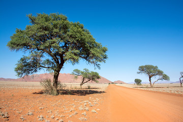 road trip namibia game farm and namib desert