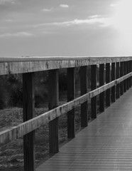 Fototapeta premium wooden bridge over the marsh