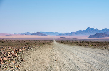 Fototapeta na wymiar road trip namibia game farm and namib desert