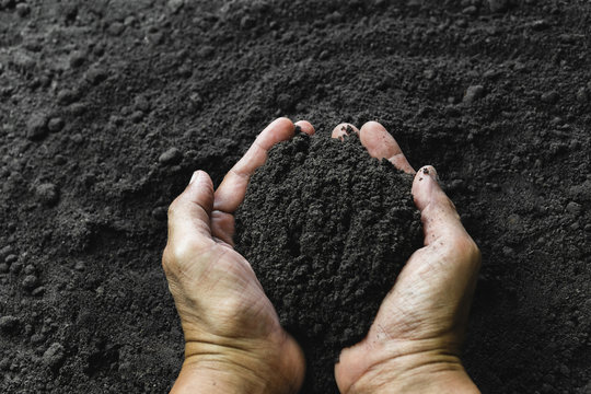 Closeup hand of person holding abundance soil for agriculture or planting peach concept.