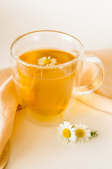 Herbal tea with fresh chamomile flowers on light background