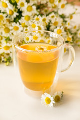 Herbal tea with fresh chamomile flowers on light background