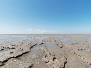 Baie d'Yves en Charente-Maritime, lagune cotière vaseuse à marais basse