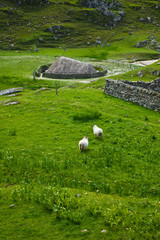 Poblado de Edad del Hierro junto a playa Bostadh (Iron Age village nearby Bostadh Beach). Great...
