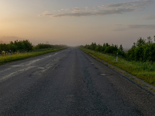 rural landscape in the morning mist, empty road, mysteriously faded trees along the roadside