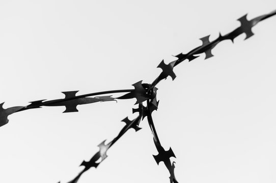 Barbed wire close up. Soft focus. The concept of the struggle for freedom. Copy space. Black and white image.
