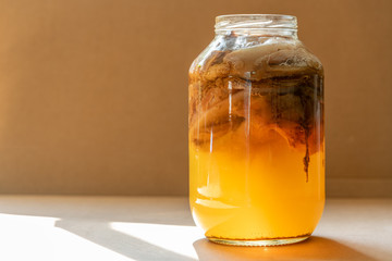 Landscape half full scoby hotel