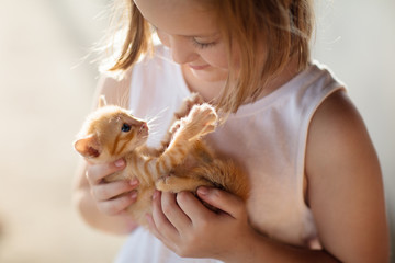 Little girl holding baby cat. Kids and pets